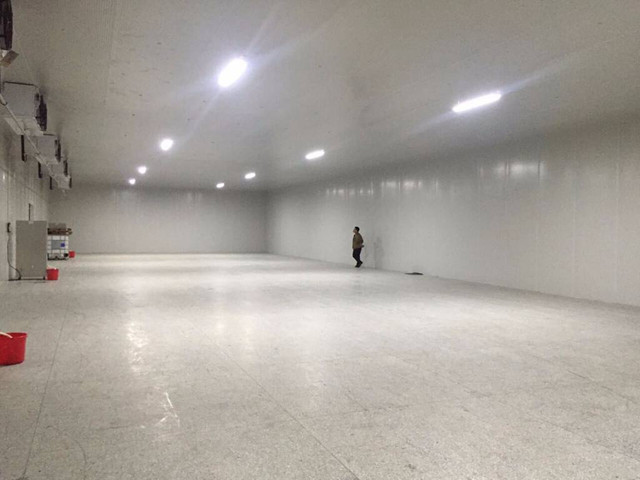 水產海鮮冷庫冷凍保存